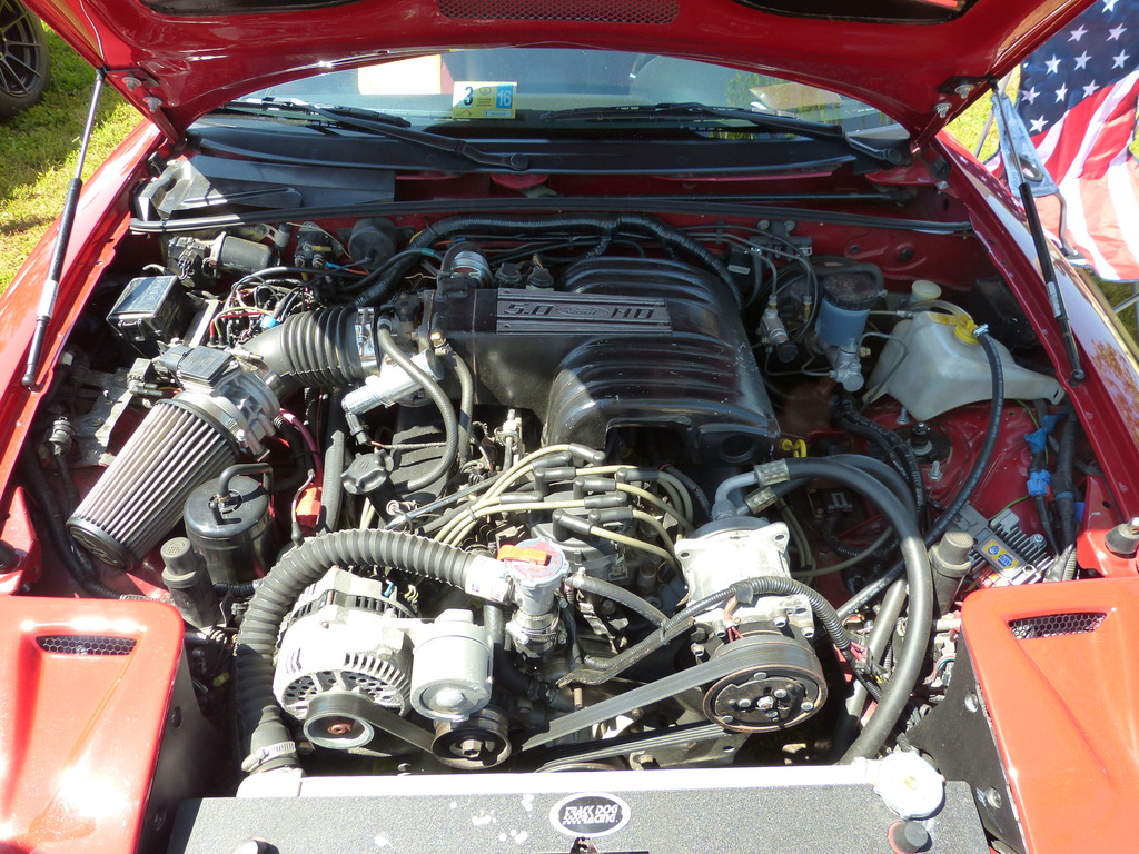 Name:  11_zpsfmmdscsc.jpg
Views: 1494
Size:  360.4 KB