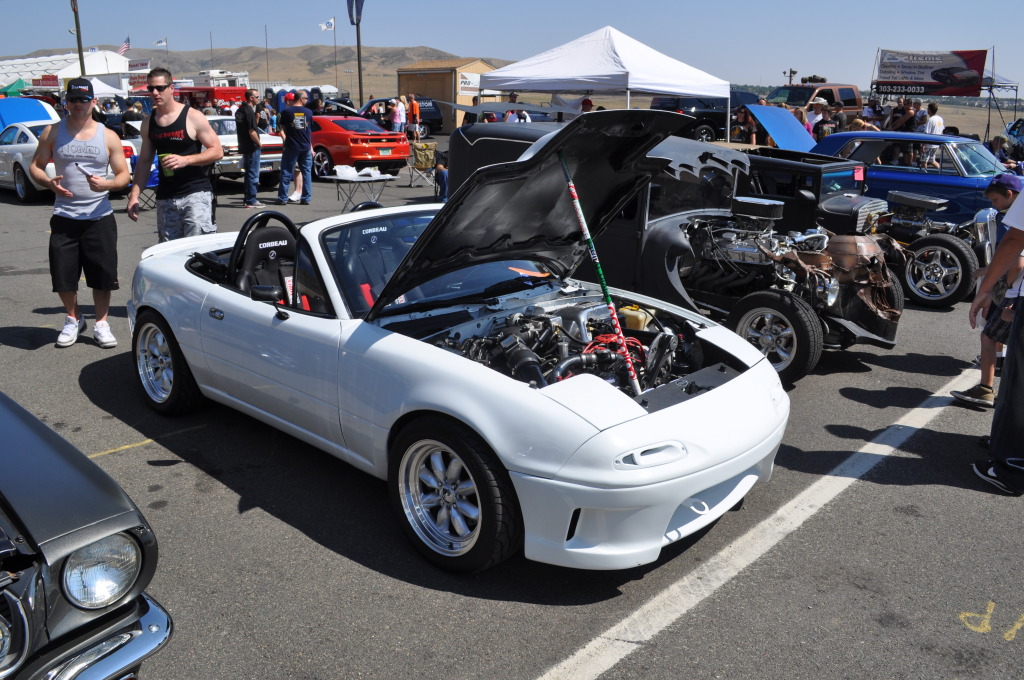 Name:  DSC_1006.jpg
Views: 462
Size:  267.1 KB