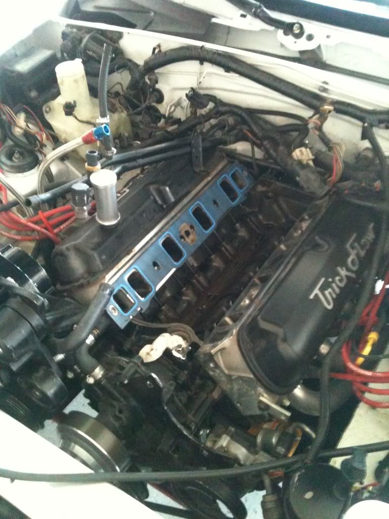 Name:  IMG_0537.jpg
Views: 419
Size:  156.2 KB