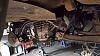 NB Miata with Ford 3V V8 4.6litre Modular Motor with Tremec 5 speed from a Mustang GT-20160717_124340_zpsegxdyenp.jpg