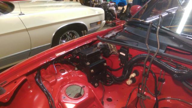 Name:  IMAG0091.jpg
Views: 2234
Size:  37.2 KB