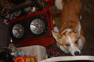 1991 NA Explorer 302 build-subs-woofer.jpg