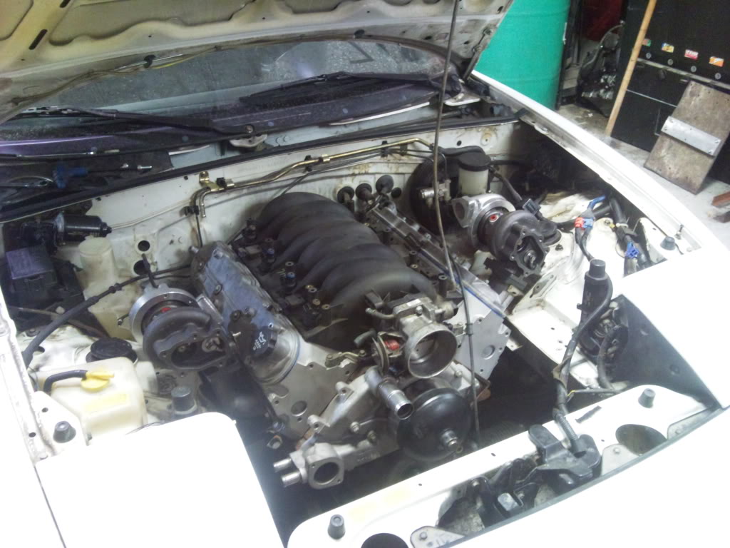 Name:  20101015.jpg
Views: 3026
Size:  113.2 KB