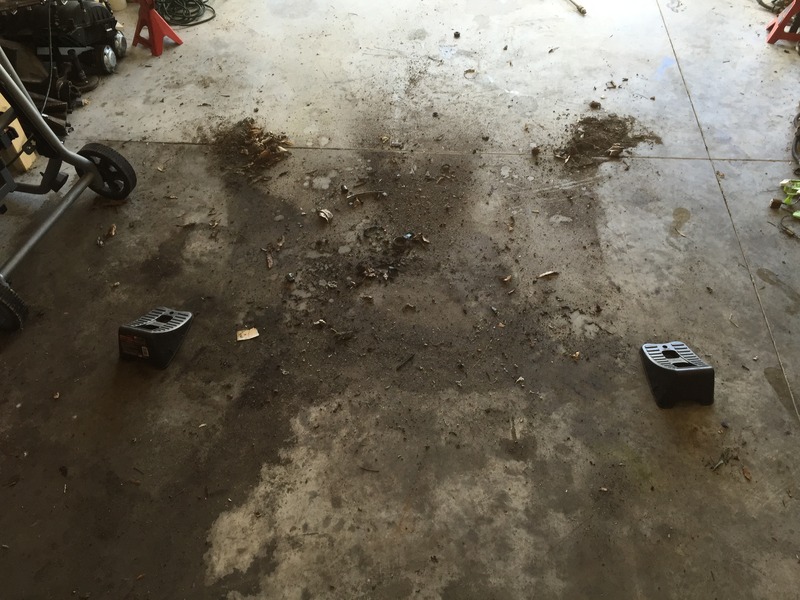 Name:  IMG_0010_zpsns21fw3h.jpg
Views: 666
Size:  158.8 KB