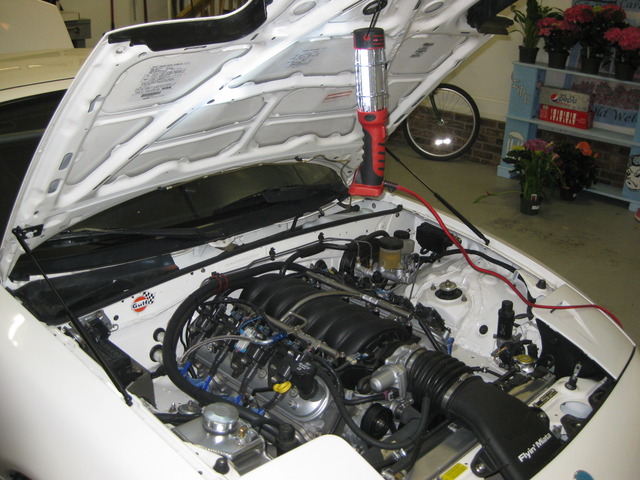 Name:  IMG_1487.jpg
Views: 909
Size:  118.5 KB