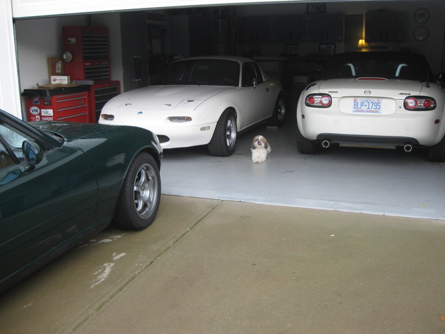 Name:  IMG_1168.jpg
Views: 906
Size:  73.3 KB