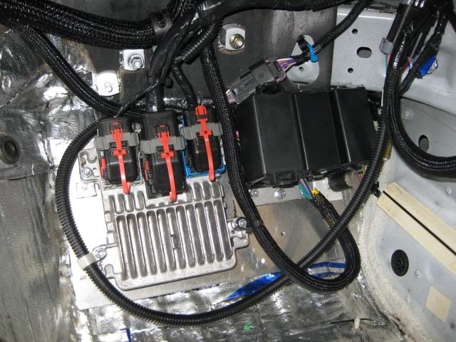 Name:  IMG_0566.jpg
Views: 1110
Size:  62.4 KB