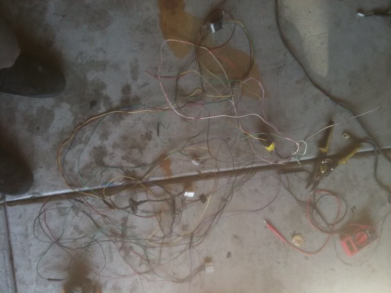 Name:  photo-1222.jpg
Views: 319
Size:  55.1 KB