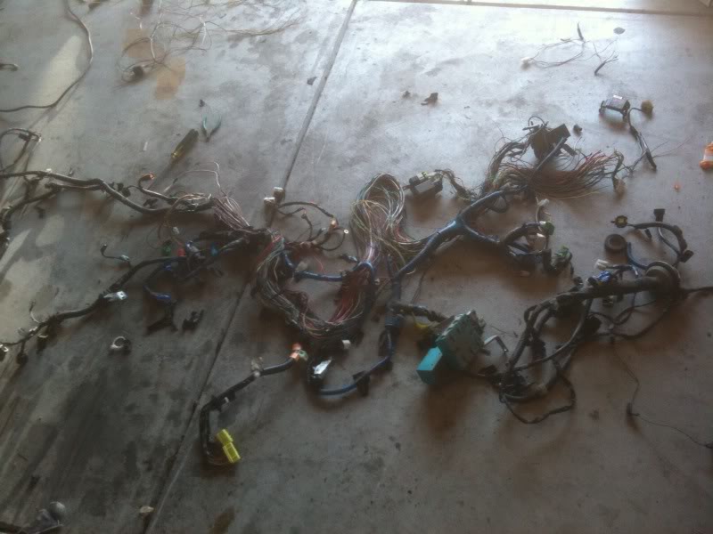 Name:  photo-2369.jpg
Views: 248
Size:  62.1 KB