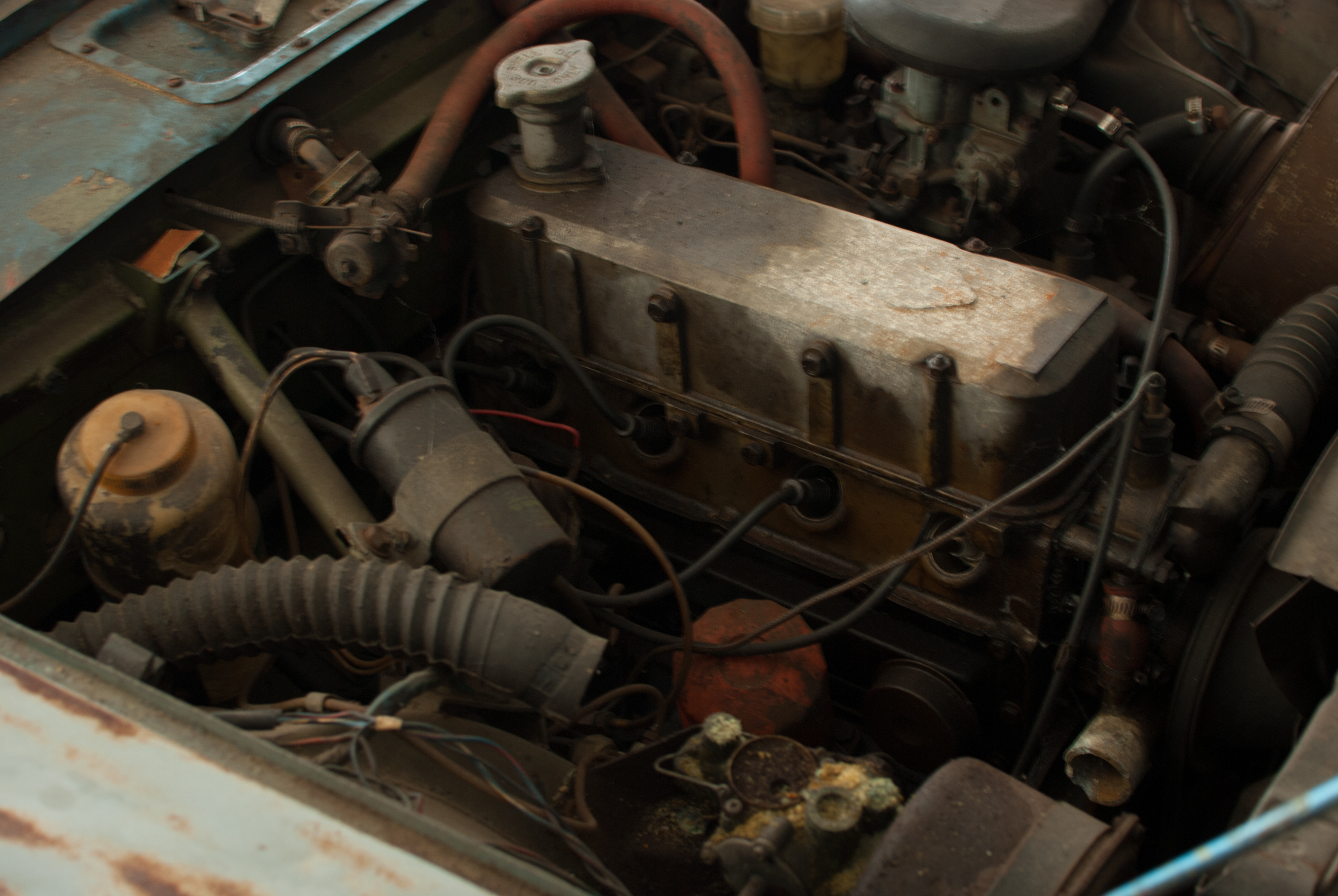 Name:  DSC_0219_zps67ff73ca.jpg
Views: 190
Size:  4.18 MB