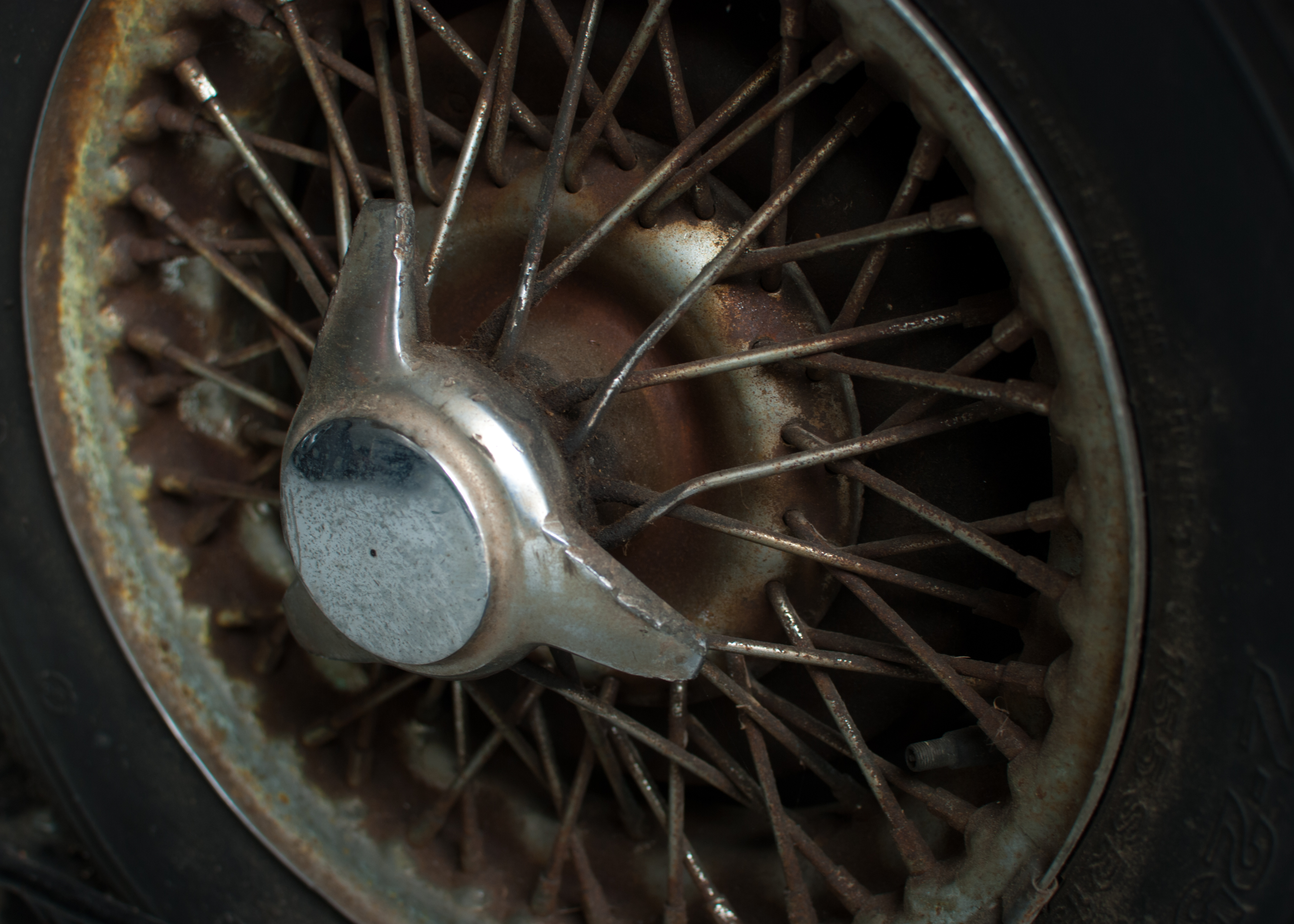 Name:  DSC_0224_zps2121f6f8.jpg
Views: 189
Size:  3.72 MB