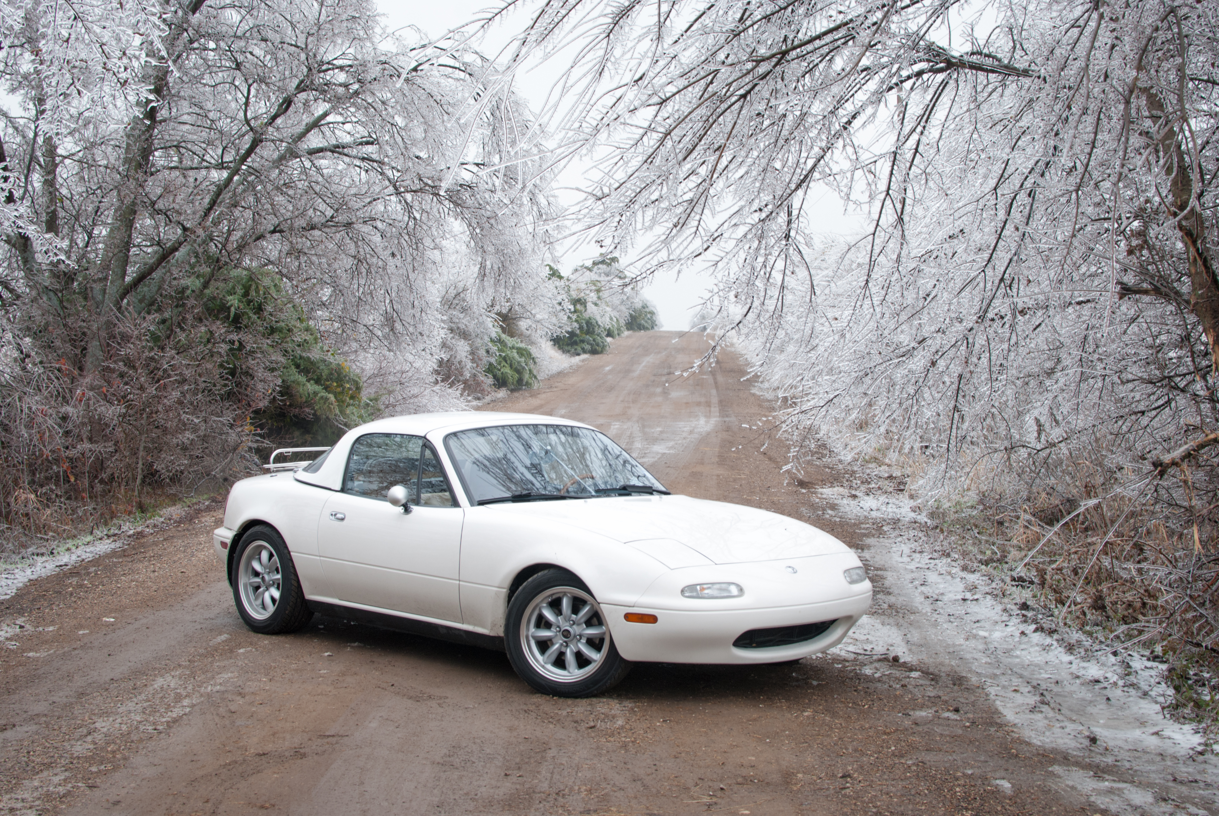 Name:  DSC_0030_zpsff37cafb.jpg
Views: 174
Size:  7.44 MB