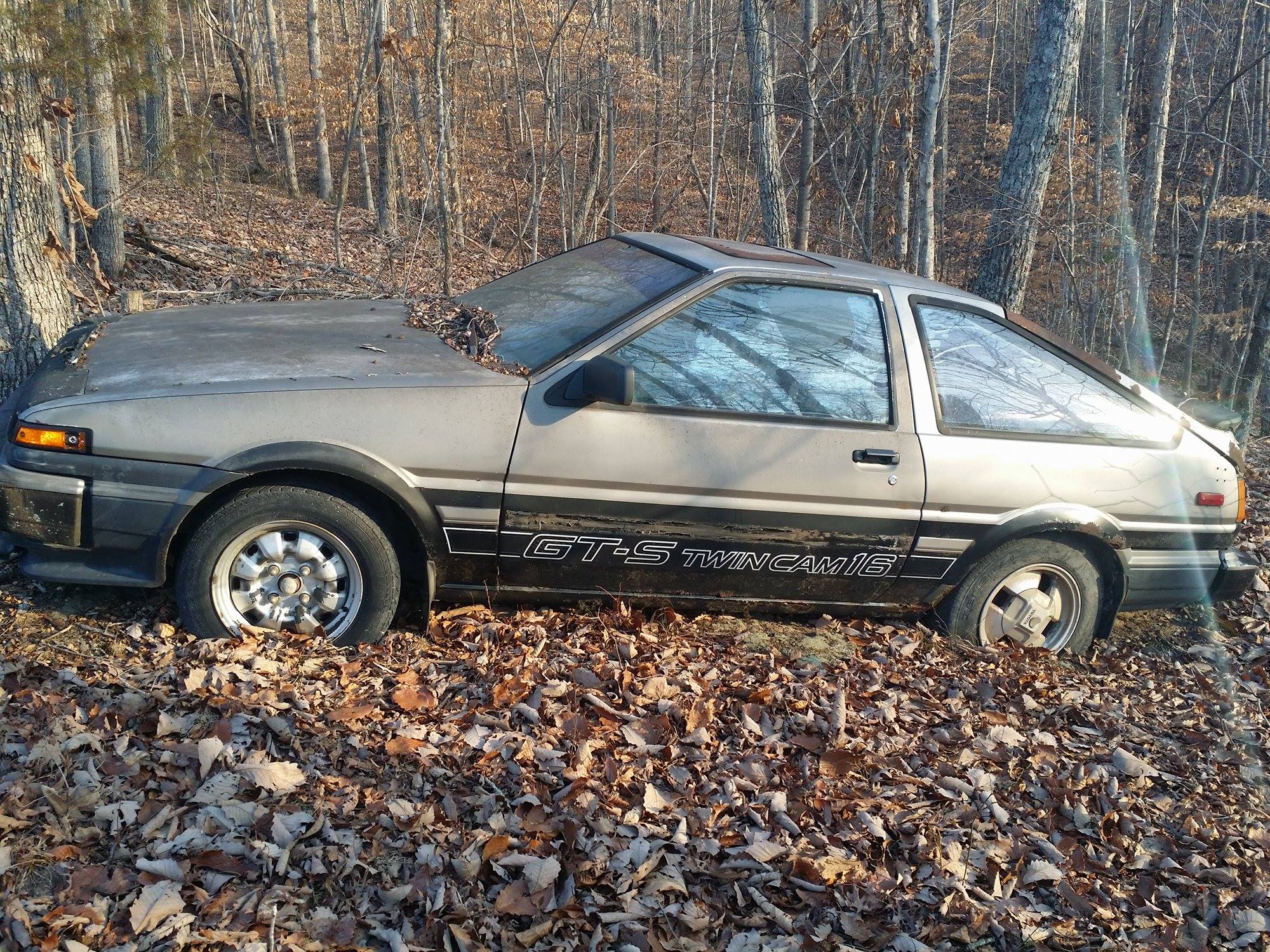 Name:  yCOwItT.jpg
Views: 32
Size:  833.4 KB