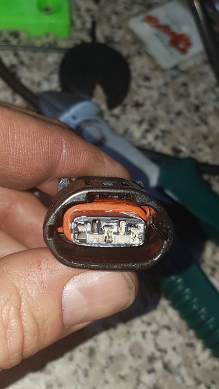 Name:  20170416_154459_zps1n1ipac8.jpg
Views: 1405
Size:  152.0 KB